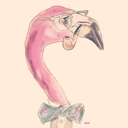 wdpflamingo pink bird